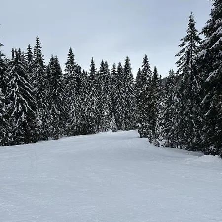 Apartma Rogla Gaber *